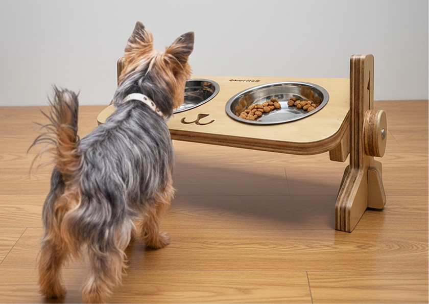 Dog with feeder
